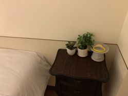 -艾维庭美学SPA