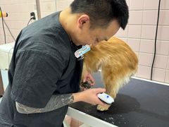 -FAELING PETS美天灵宠物(富力广场店)
