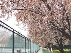 -陕西师范大学(雁塔校区)