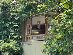 -野草莓自由市场