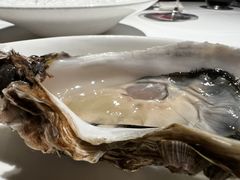 -Oyster Talks 四度蚝法餐厅