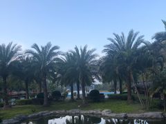-孔雀湖生态旅游区