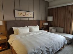 -徐州博顿温德姆酒店(高铁东站店)