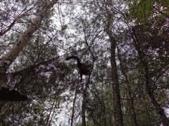 -成都松鼠部落