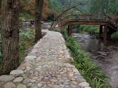 -重庆彩云湖湿地公园