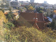 -昆明动物园