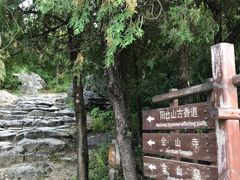 -阳台山自然风景区