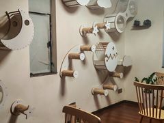 -楼上猫咖(罗湖店)