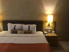 -天津水游城丽筠酒店