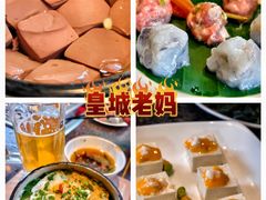 -皇城老妈火锅(琴台店)
