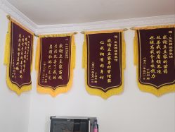 -程氏苗堂苗技养生