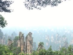 -费大厨辣椒炒肉(万家丽一店)