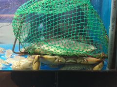 -至尊鲨鱼·原烹海鲜·新浙菜(拱宸桥店)