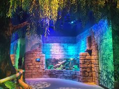 -沈阳海洋探索中心