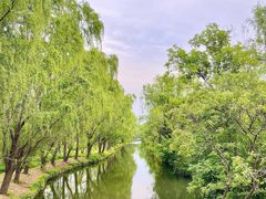 -溱湖国家湿地公园