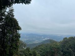 -黄埔油麻山森林公园