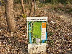 -昆山城市生态森林公园