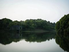 -福建鲤鱼洲酒店