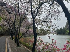 -星湖旅游景区七星岩