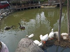 -天毓山庄·餐厅