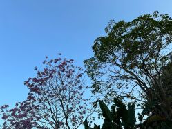 -爱帝宫月子中心(罗湖别墅院)