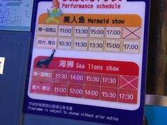 -石家庄海洋公园