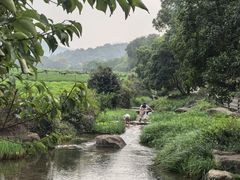 -中国茶叶博物馆(双峰馆区)