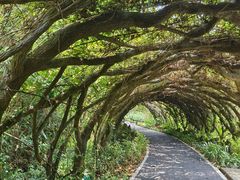 -广西壮族自治区药用植物园