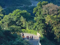 -阳台山森林公园