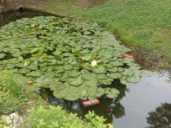 -湾里人家(旺山景区店)