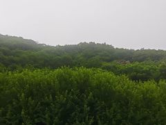 -大连天门山国家森林公园