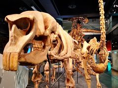 -墨尔本博物馆(Melbourne Museum)