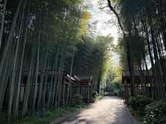 -池州市平天湖风景区