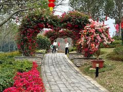 -东莞植物园