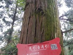 -天花井景区