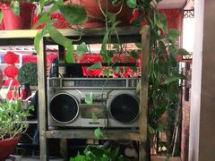 -食德喜·阳山鸡王食研基地