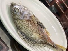 -吴记富苑(朝阳店)