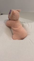 -西瓜庄园儿童摄影