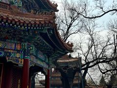 -雍和宫