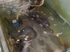 -樱桃创意厨房