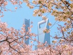 -广富林郊野公园
