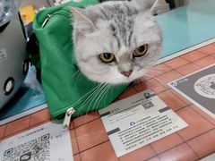 -子乐宠物医院