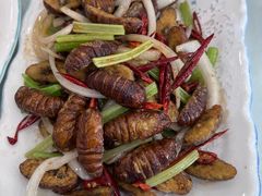 干煸蚕蛹-四海回族饭店(前进大街店)