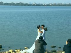 -瑶湖郊野森林公园