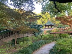 -申粤轩酒楼·三十年粤菜经典(丁香花园店)
