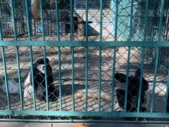 -秦皇岛野生动物园