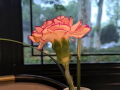 -杭州西湖柳莺里酒店·闻莺厅