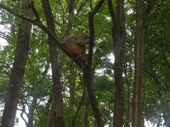 -黔灵山公园