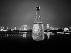 -武汉知音号