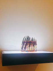 -史云逊养发护发